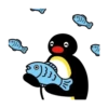 pingu mov 5
