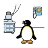 pingu mov 6