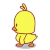 CARTOON CHICKEN & BLUE BUNNY 16