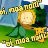 Pokemon 13