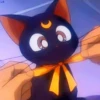Gatita Luna🌜1🇲🇽Movi 10