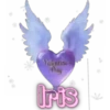 Nombres(San Valentín)💞4🇵🇪Movi 15
