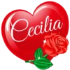 SAN VALENTÍN NOMBRE CORAZON CON ROSA 14