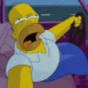 Homero Simpson 9