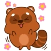 Mapache 11