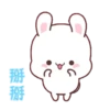 Bunny 🐰 1 Moví 🇲🇽 8