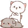 angry-nya 7
