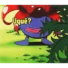 Pokemon 14