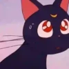 Gatita Luna🌜1🇲🇽Movi 11