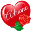 SAN VALENTÍN NOMBRE CORAZON CON ROSA 16