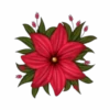 Flores y Rosas Rojas💞1🇵🇪Movi 10