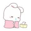 Bunny 🐰 2 Moví 🇲🇽 10