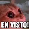 NO ME DEJES EN VISTO ✔️✔️😾 6