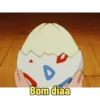 Pokemon 16
