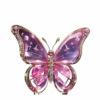 तितलियाँ 3 🦋 17