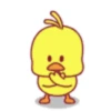 CARTOON CHICKEN & BLUE BUNNY 20