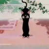 Gatita Luna🌜1🇲🇽Movi 12