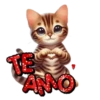 Te Amo 1 ❤ MOV 🇲🇽 12