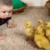Niños con Mascotas👶🐥2🇲🇽&🇲🇽Movi 10
