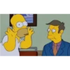 Los simpson 13