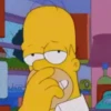 Homero Simpson 12