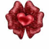 Flores y Rosas Rojas💞1🇵🇪Movi 13