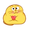 CUTE  FAT  CAT 13
