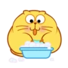 CUTE  FAT  CAT 17