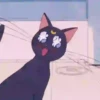 Gatita Luna🌜1🇲🇽Movi 14
