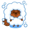 Mapache 12