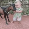 Niños con Mascotas👶🐥2🇲🇽&🇲🇽Movi 12