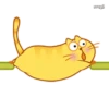 CUTE  FAT  CAT 18