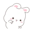 Bunny 🐰 2 Moví 🇲🇽 15