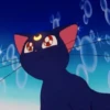 Gatita Luna🌜1🇲🇽Movi 15