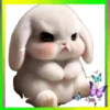 Animalitos Cute💞3🇵🇪Movi 17
