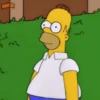 Homero Simpson 16