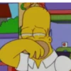 Homero Simpson 17