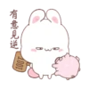 Bunny 🐰 1 Moví 🇲🇽 14