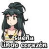 Sueña Lindo corazón ❤️ tiktok 9