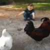 Niños con Mascotas👶🐥1🇲🇽&🇲🇽Movi 19
