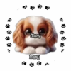 Perritos Tiernos ✺5🇻🇪Mov 22