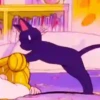 Gatita Luna🌜1🇲🇽Movi 21