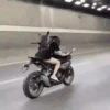 Love of motorcycles🏍️1🇲🇽Movi 19