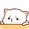 sad-nya 22