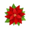 Flores y Rosas Rojas💞1🇵🇪Movi 18