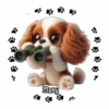 Perritos Tiernos ✺5🇻🇪Mov 24