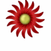 Flores y Rosas Rojas💞1🇵🇪Movi 19