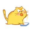 CUTE  FAT  CAT 21