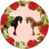 Animales Amorosos💞2🇵🇪Movi 17