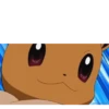 Pokemon 23
